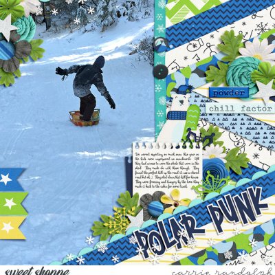 Polar Punk