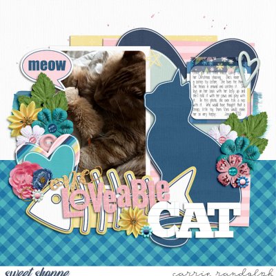Loveable Cat