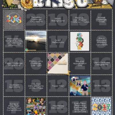 January 2018 Bingo Card