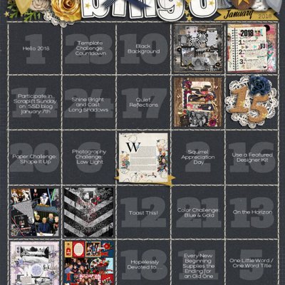 January 2018 Bingo Card