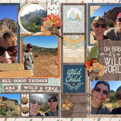 Wild World November 2017