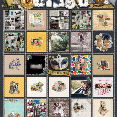 January 2018 Bingo Card
