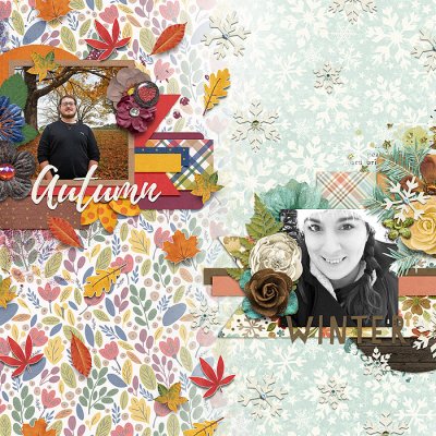 Autumn to Winter