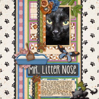 Mr. Litter Nose