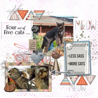 4 out of 5 cats