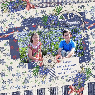 Texas Bluebonnets