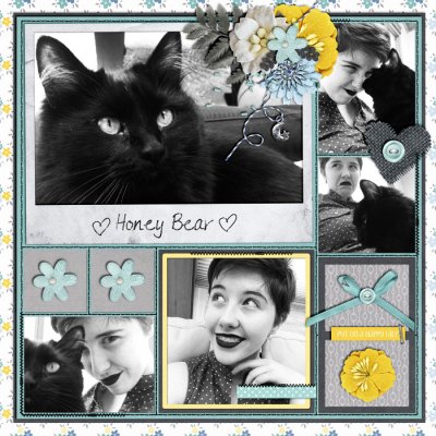 Honey Bear