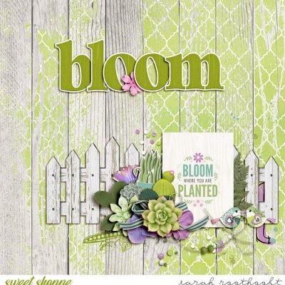 Bloom