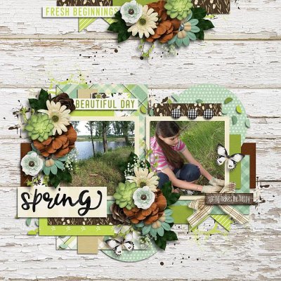Spring to life