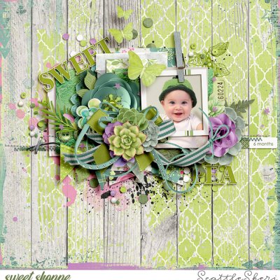 Sweet Pea