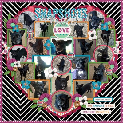 June B @ Bark & Play