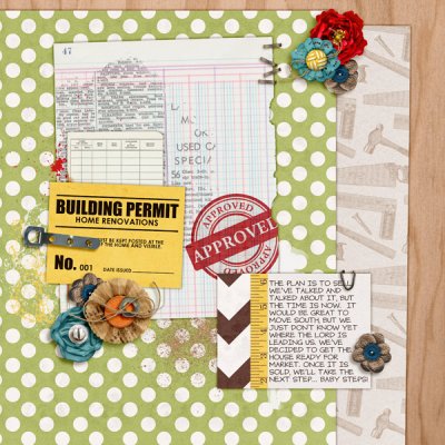 House Reno book cover