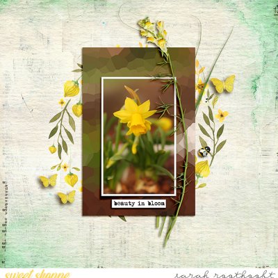 Beauty in bloom
