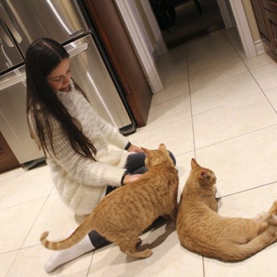 cat1