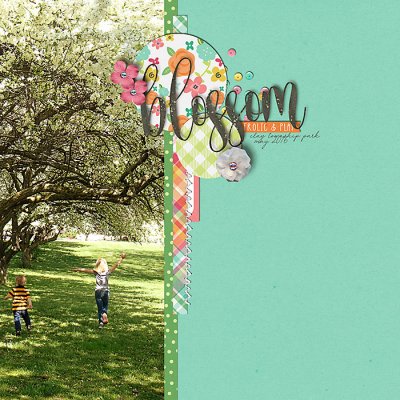Blossom