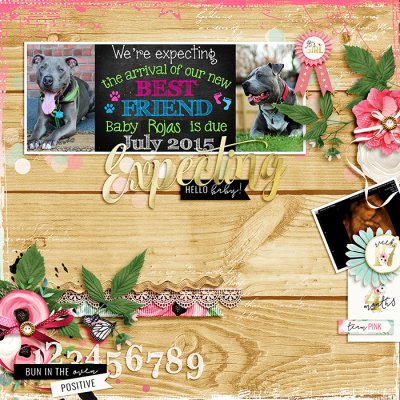 Expecting: Hello Baby!!
