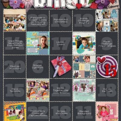 My February Bingo Card