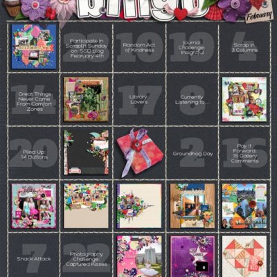 Feb Bingo