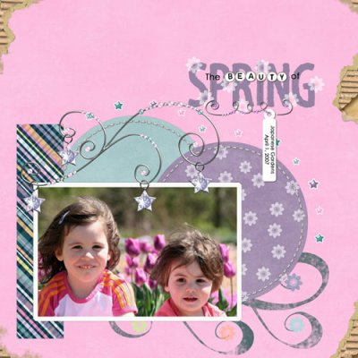 The Beauty of Spring
