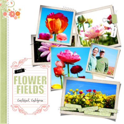 The Flower Fields