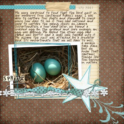 The Robin's Nest