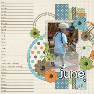 Calendar june 2009