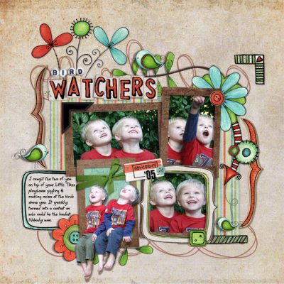 Bird Watchers