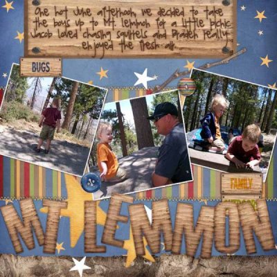 Mt. Lemmon family picnic