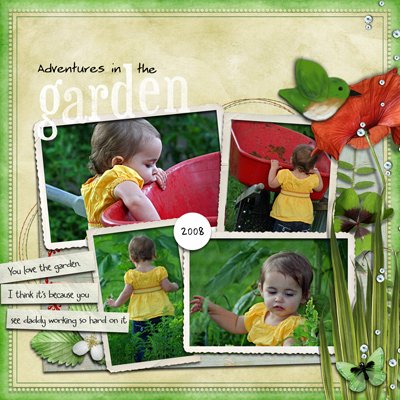 Adventures in the Garden