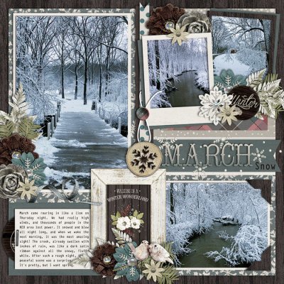 March Snow Tranquil