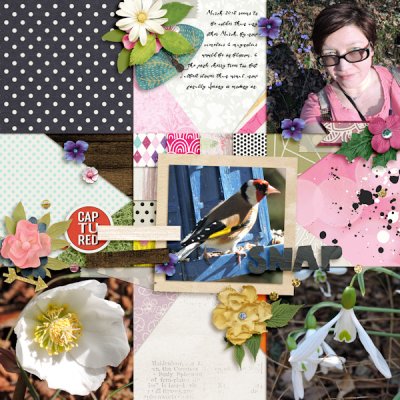 Mar 1 - freebies