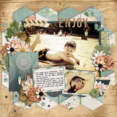 Enjoy-small