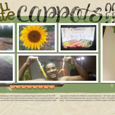 #4 Carrots (dbl page)