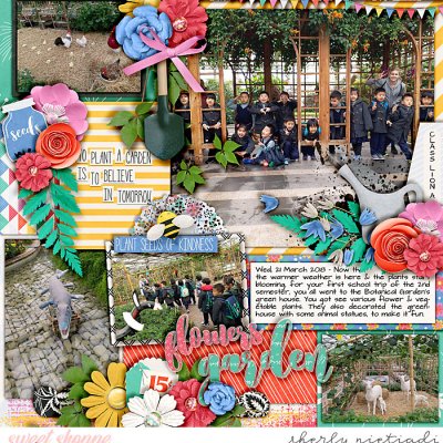 flowers garden