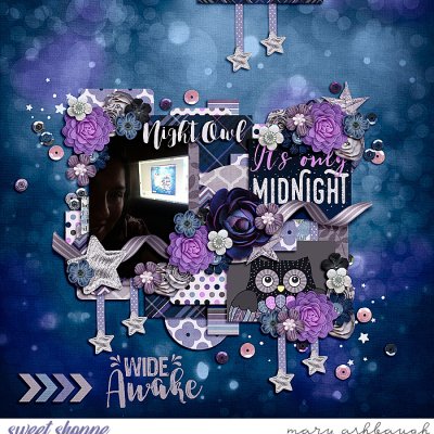 Night Owl