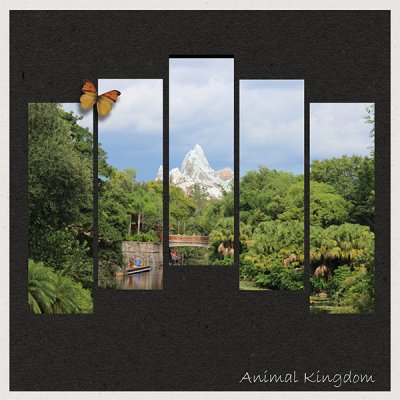 Animal Kingdom