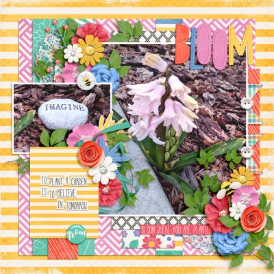 bloom