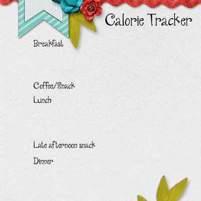 Calorie Tracker