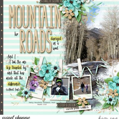 Mountain Roads
