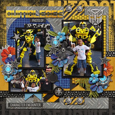 Bumblebee Photo Op