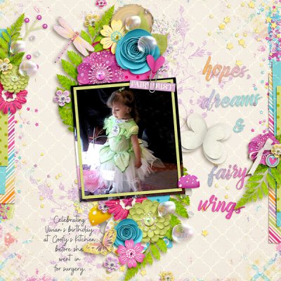 hopes dreams and fairy wings