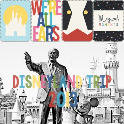 Disneyland Trip 2013 Album Cover