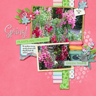 Spring
