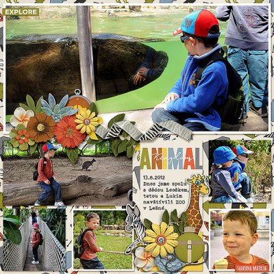 at the ZOO