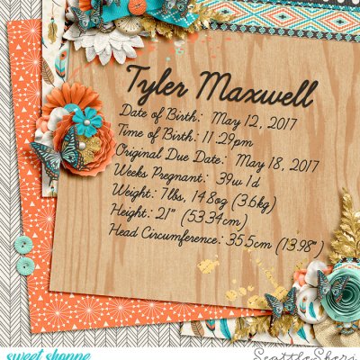 Tyler's Birth Stats