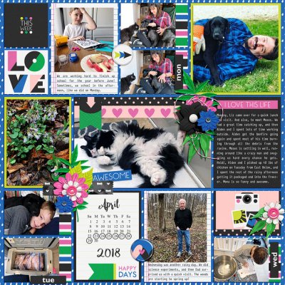 Project life week 17 01