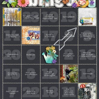 my bingo card
