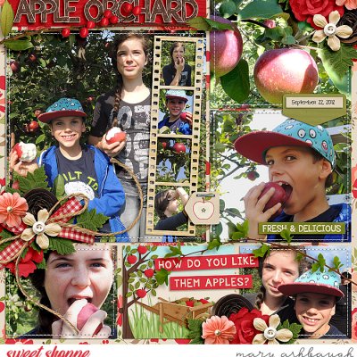 Apple Orchard