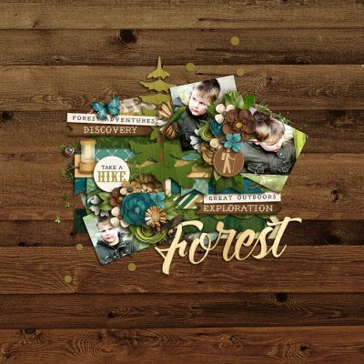 forest trails
