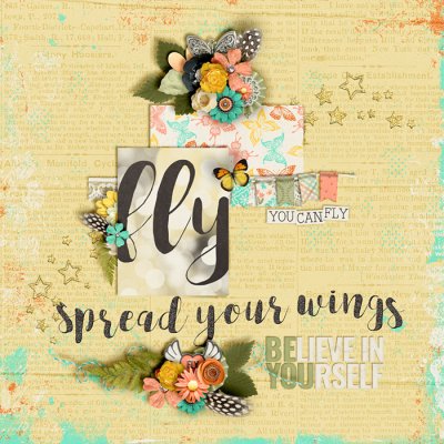 Fly